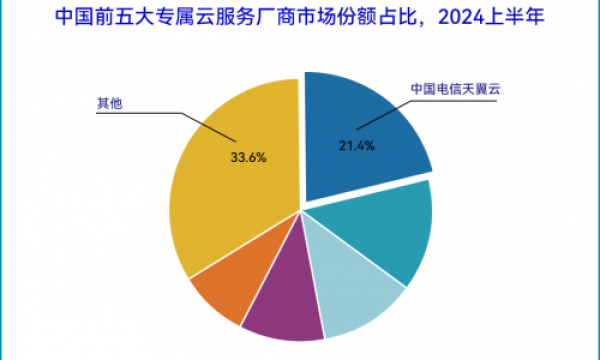 夺魁！天翼云荣登2024H1中国专属云服务市场第一